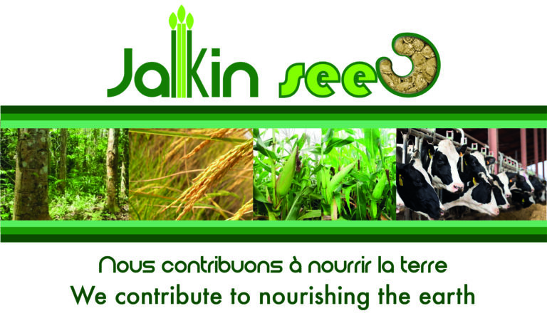 JAKIN SEED Internet